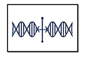 Modulation image