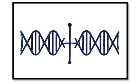 Understanding Modulation: The Key to Efficient Communication